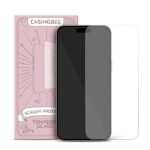 2 PCS Tempered Glass Screen Protector for iPhone - Payfisia